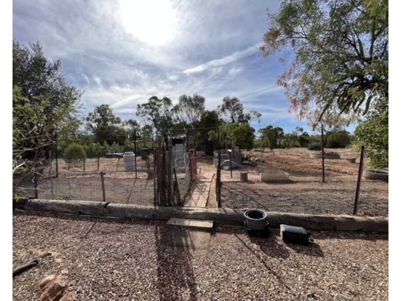 WLL14869, Lightning Ridge NSW 2834