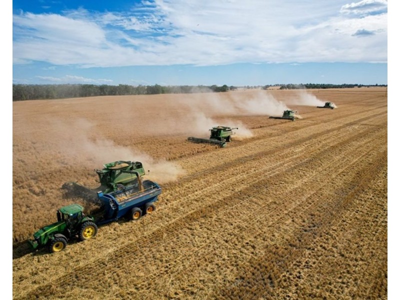 Pine Hills, Warialda NSW 2402