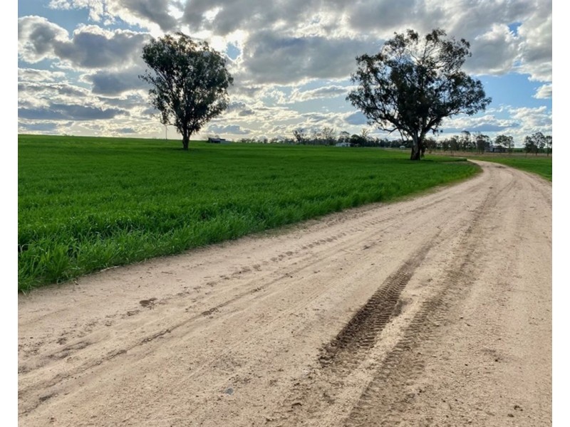 Pine Hills, Warialda NSW 2402