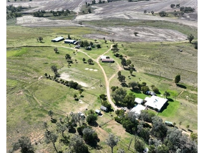 Pine Hills, Warialda NSW 2402