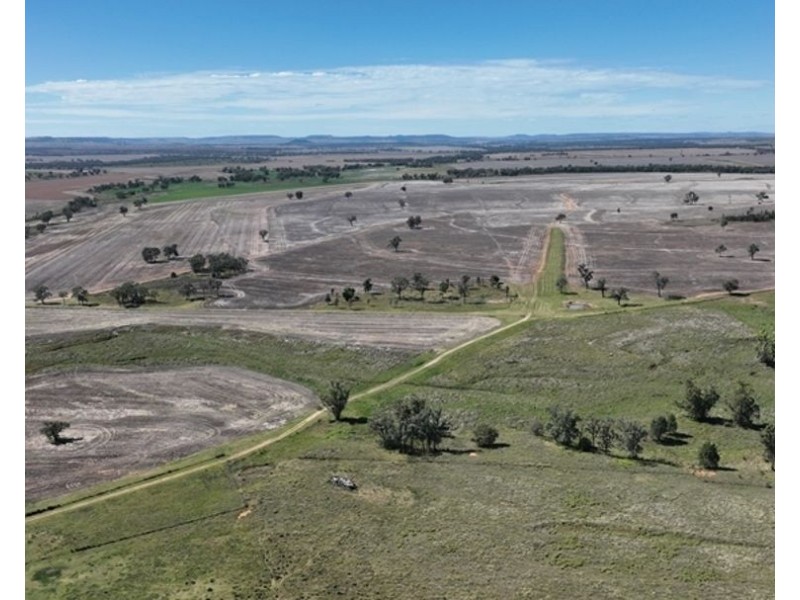 Pine Hills, Warialda NSW 2402