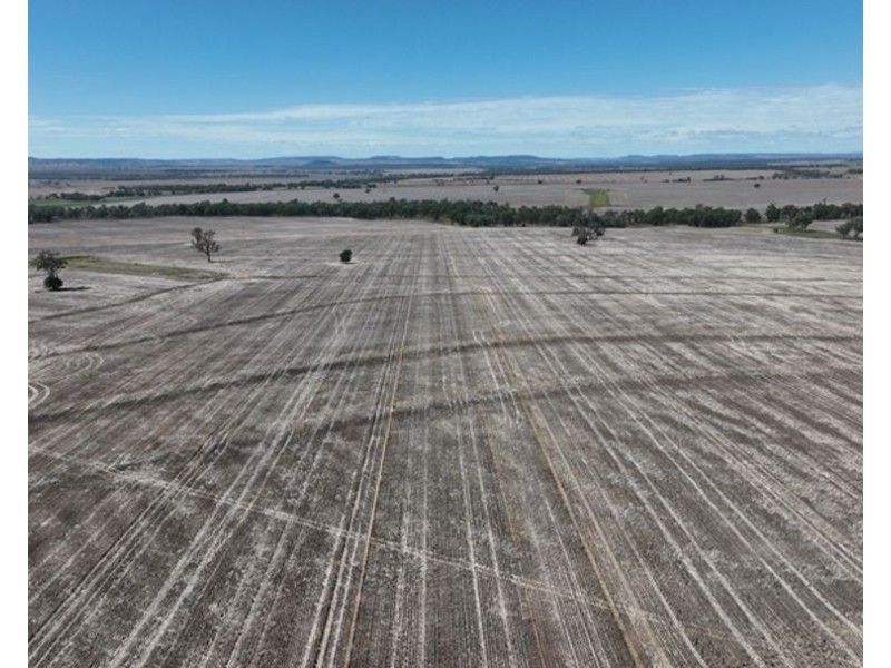 Pine Hills, Warialda NSW 2402