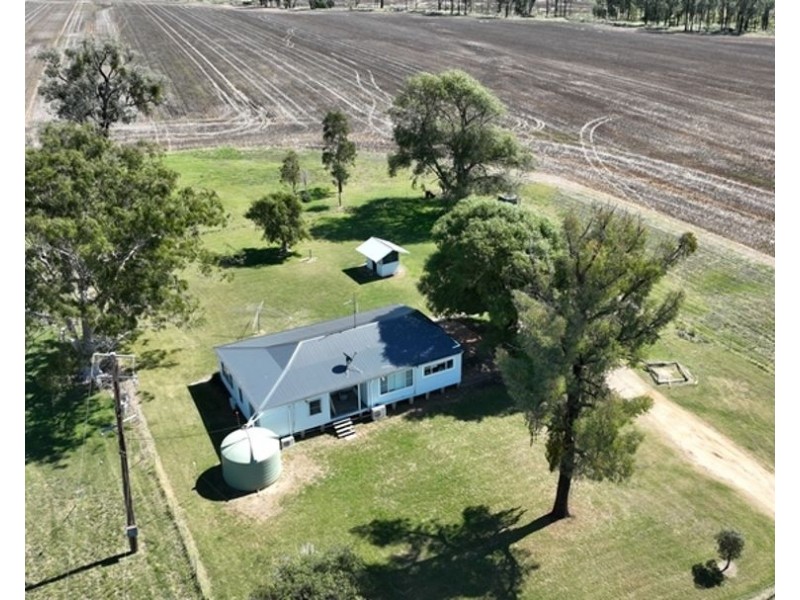 Pine Hills, Warialda NSW 2402