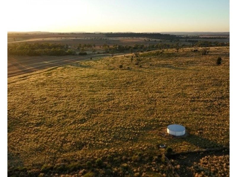 Pine Hills, Warialda NSW 2402