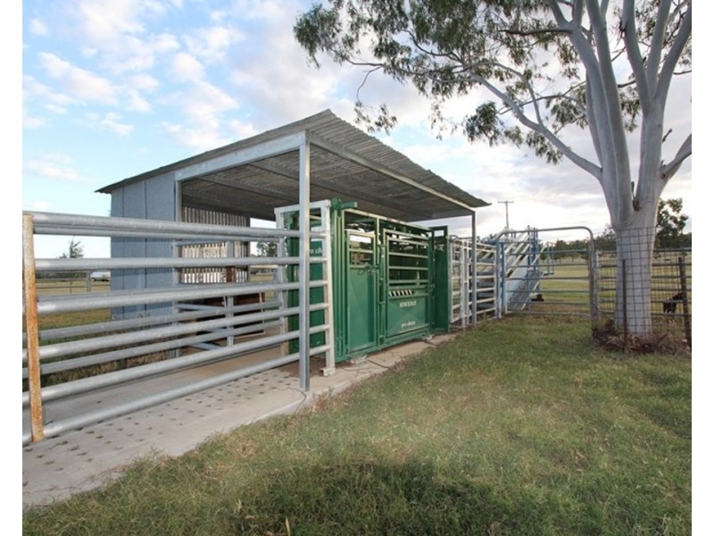 Pine Hills, Warialda NSW 2402