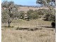 Pine Hills, Warialda NSW 2402