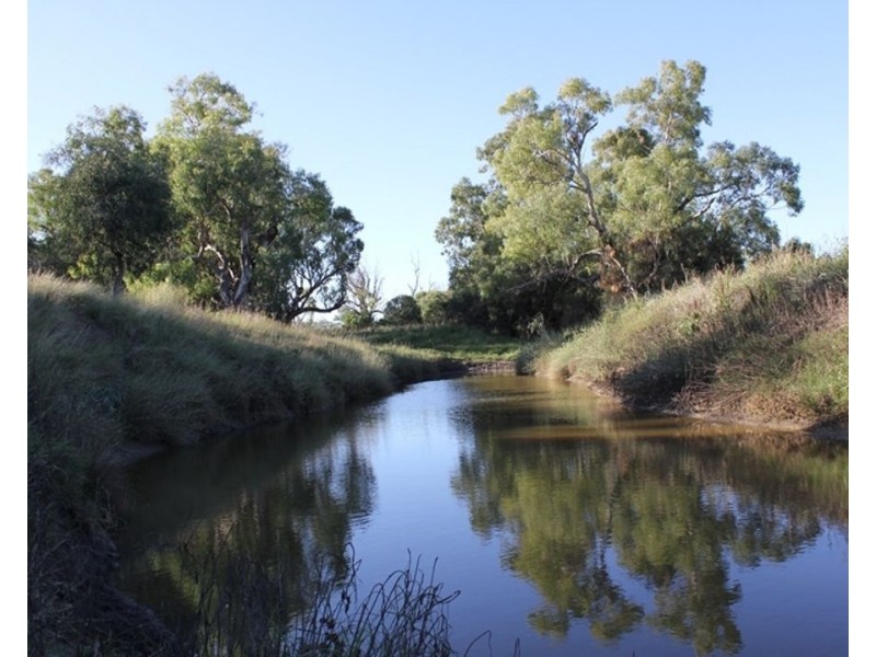Pine Hills, Warialda NSW 2402