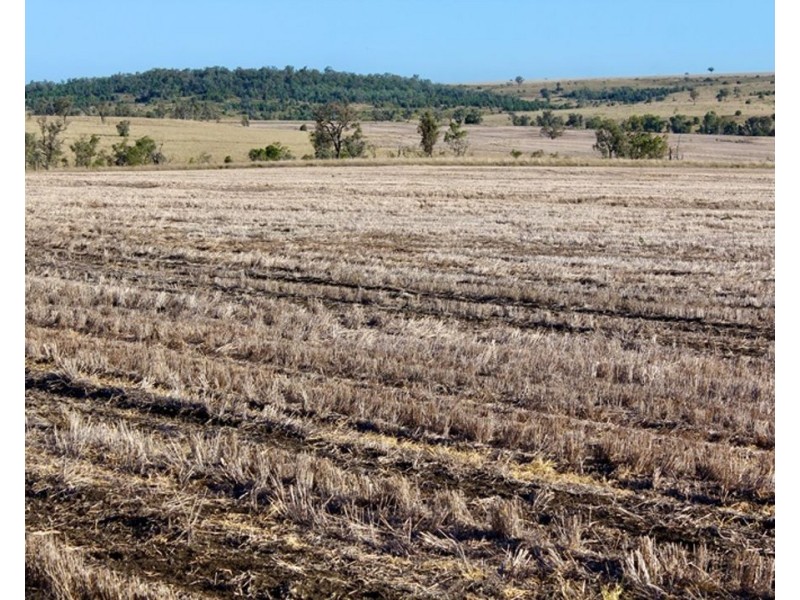 Pine Hills, Warialda NSW 2402