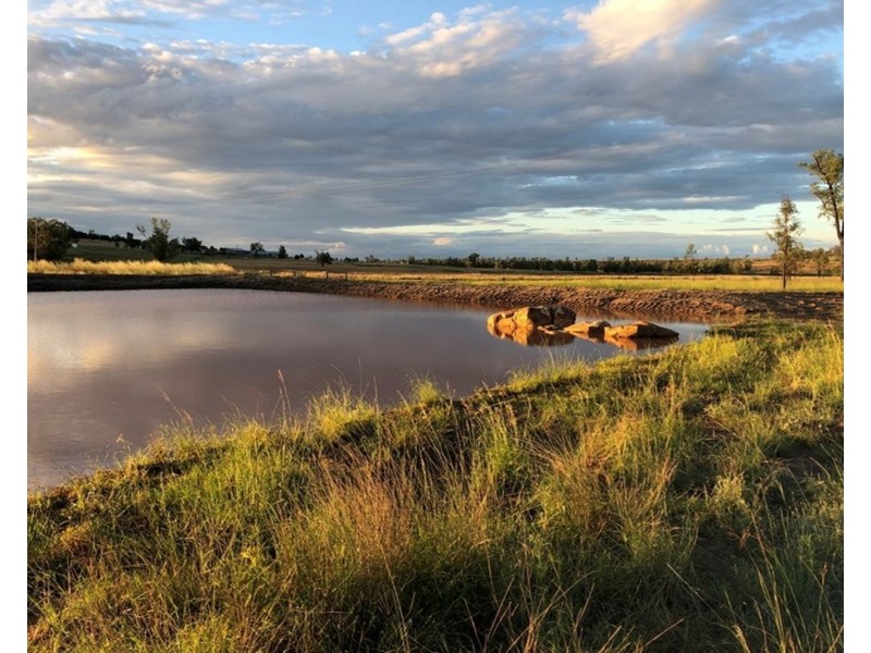 Pine Hills, Warialda NSW 2402