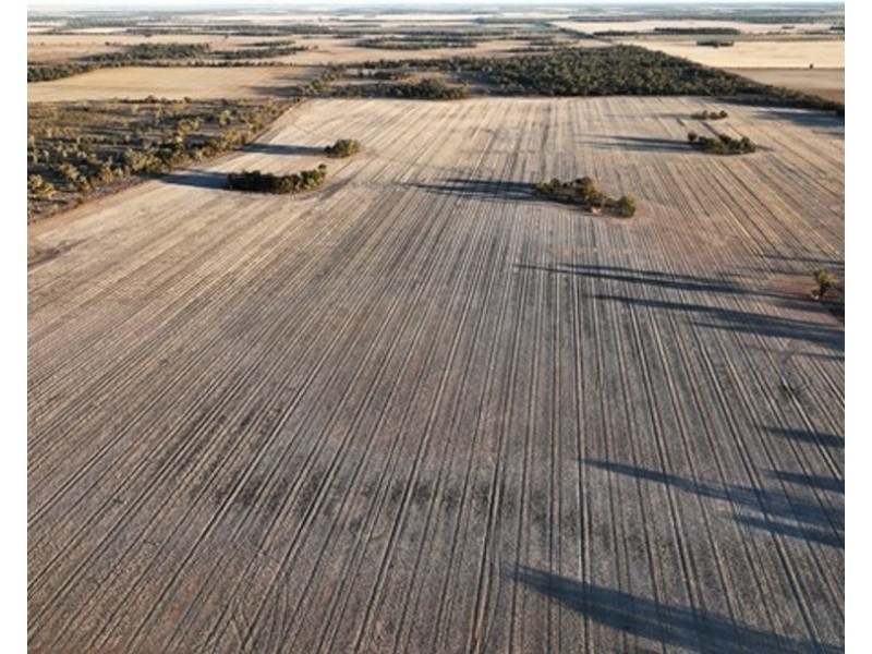 Eural Aggregation, Boomi NSW 2405