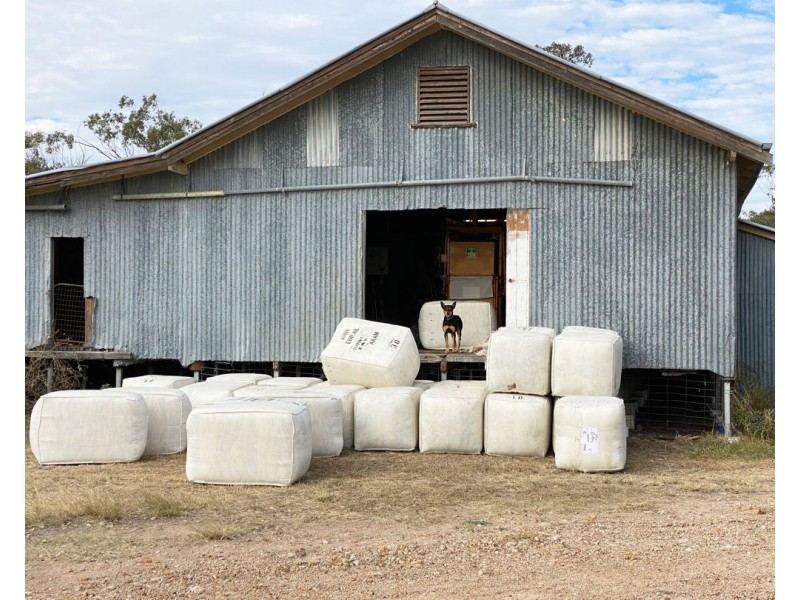 Eural Aggregation, Boomi NSW 2405