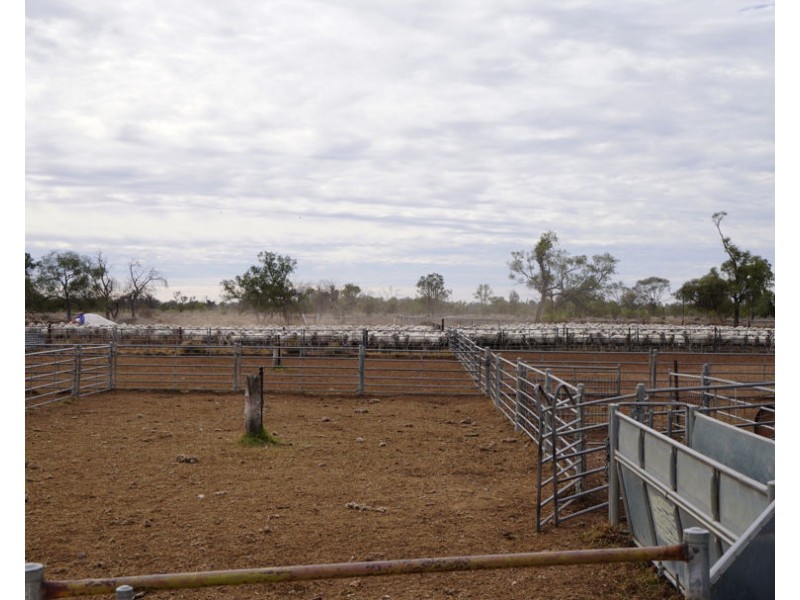 Eural Aggregation, Boomi NSW 2405