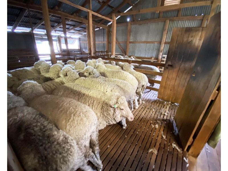 Eural Aggregation, Boomi NSW 2405