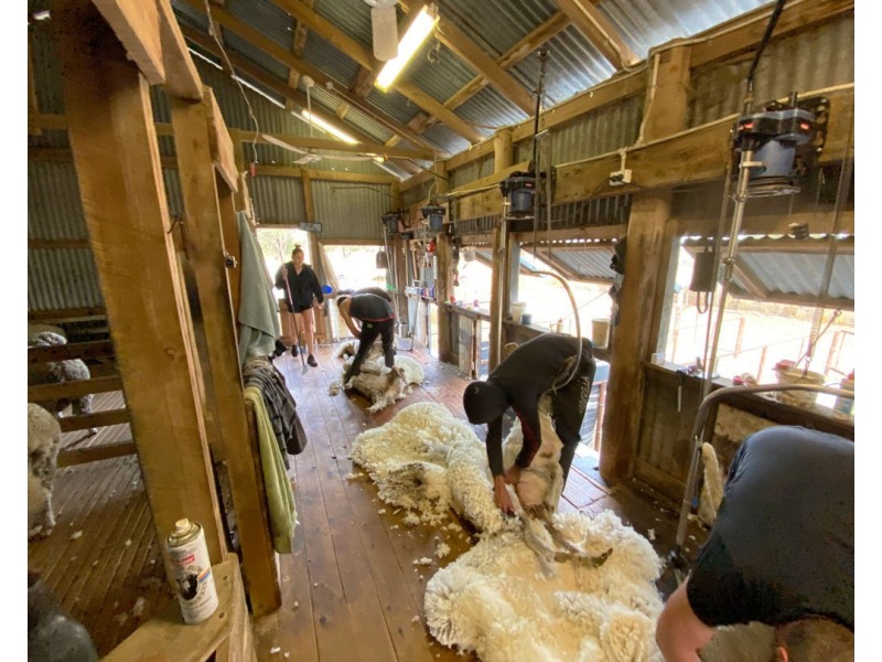 Eural Aggregation, Boomi NSW 2405