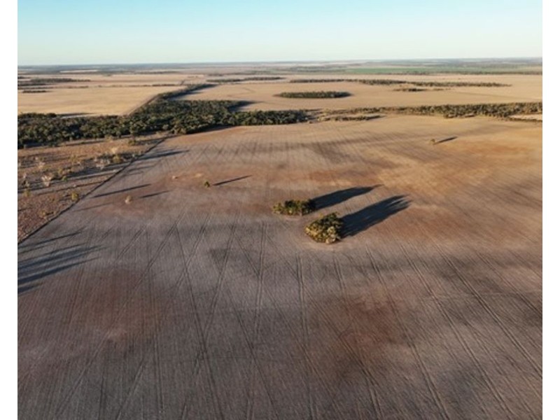 Eural Aggregation, Boomi NSW 2405