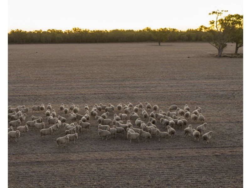 Eural Aggregation, Boomi NSW 2405