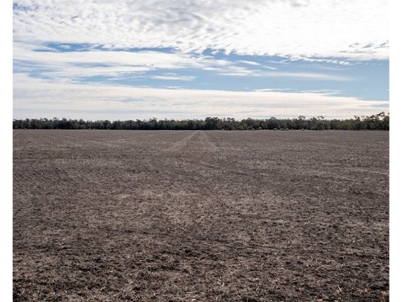 Eural Aggregation, Boomi NSW 2405