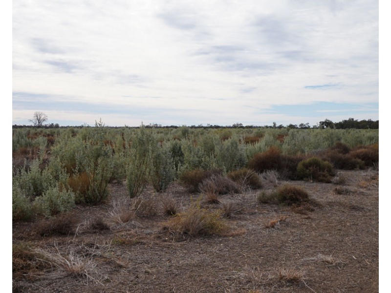 Eural Aggregation, Boomi NSW 2405