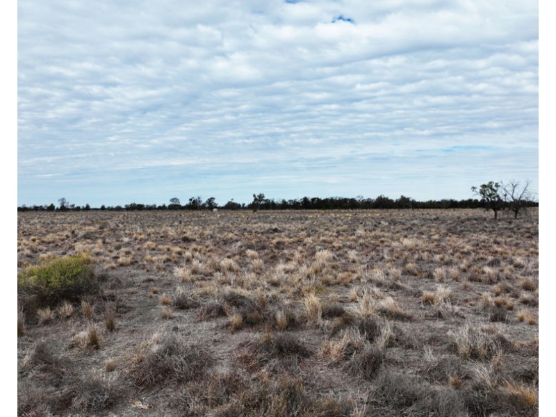 Eural Aggregation, Boomi NSW 2405