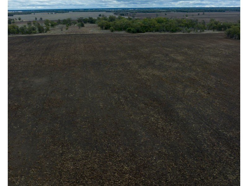 Eural Aggregation, Boomi NSW 2405