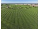 22553 Newell Hwy, Moree NSW 2400
