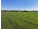 22553 Newell Hwy, Moree NSW 2400