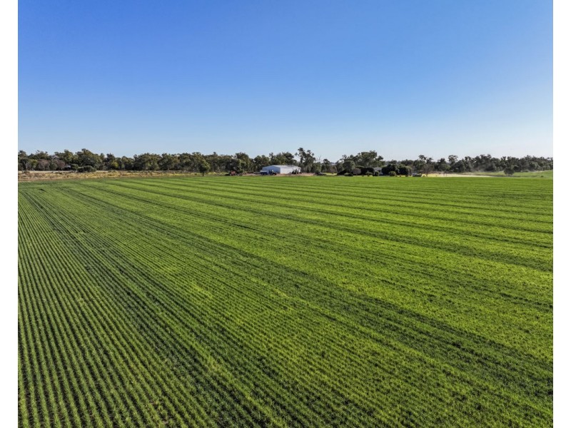 22553 Newell Hwy, Moree NSW 2400