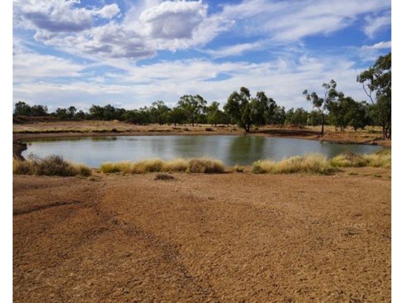 Stoney Ridge, Brewarrina NSW 2839