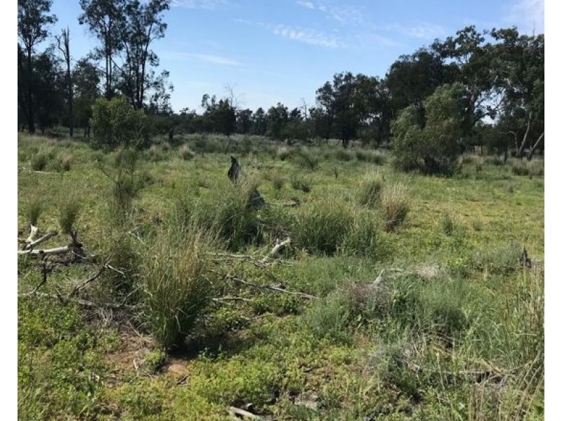 Stoney Ridge, Brewarrina NSW 2839