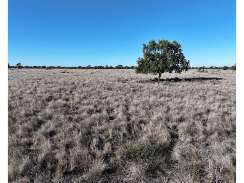 Stoney Ridge, Brewarrina NSW 2839