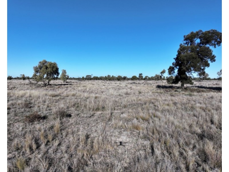 Stoney Ridge, Brewarrina NSW 2839
