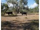 Stoney Ridge, Brewarrina NSW 2839