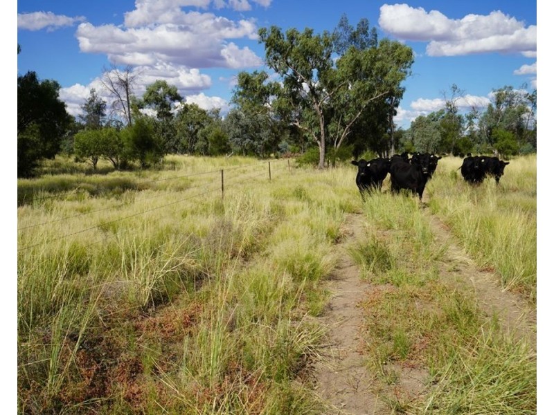 Stoney Ridge, Brewarrina NSW 2839