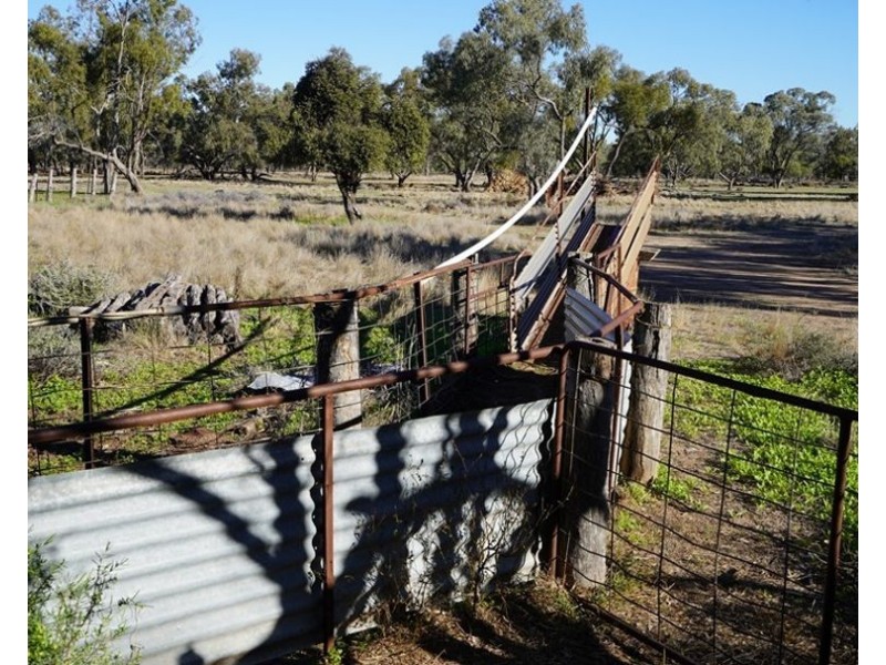Stoney Ridge, Brewarrina NSW 2839