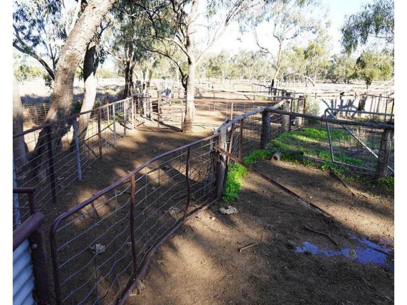 Stoney Ridge, Brewarrina NSW 2839