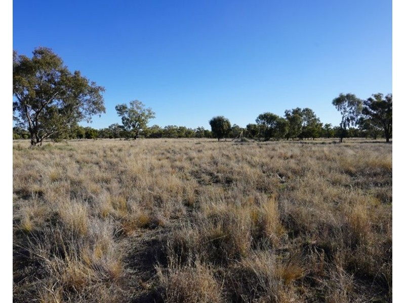 Stoney Ridge, Brewarrina NSW 2839