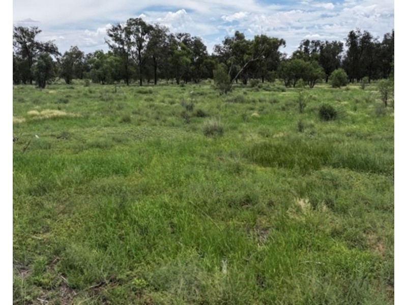 Stoney Ridge, Brewarrina NSW 2839