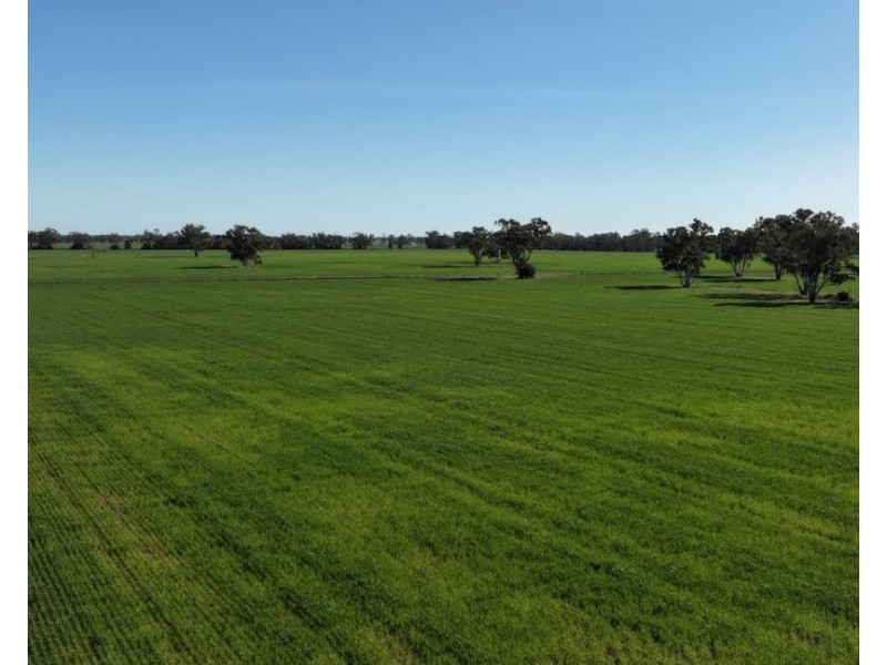Lynnwood, Narromine NSW 2821