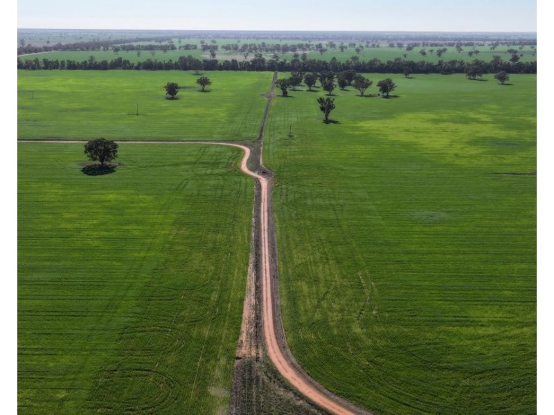 Lynnwood, Narromine NSW 2821