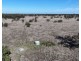 Lynnwood, Narromine NSW 2821