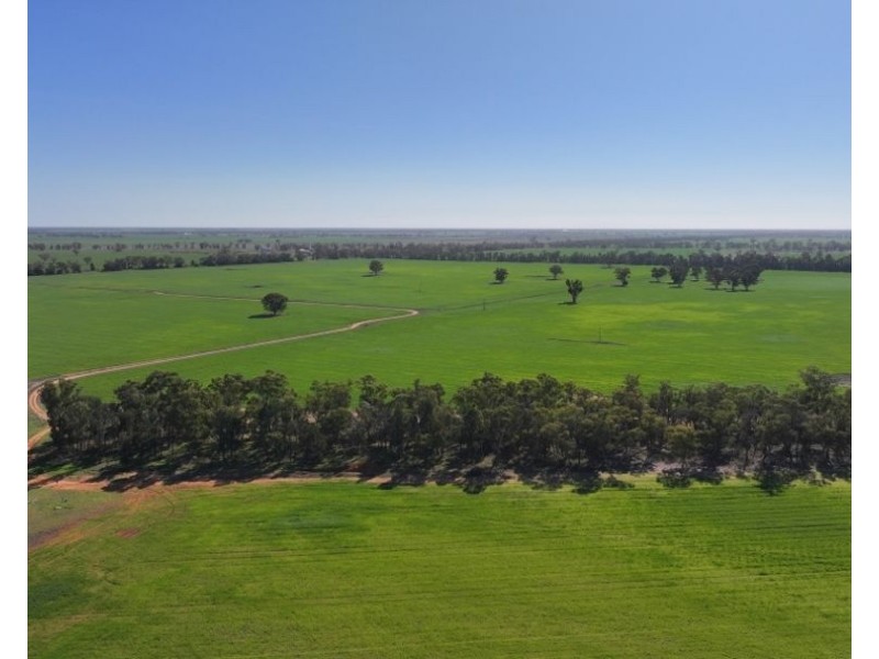 Lynnwood, Narromine NSW 2821