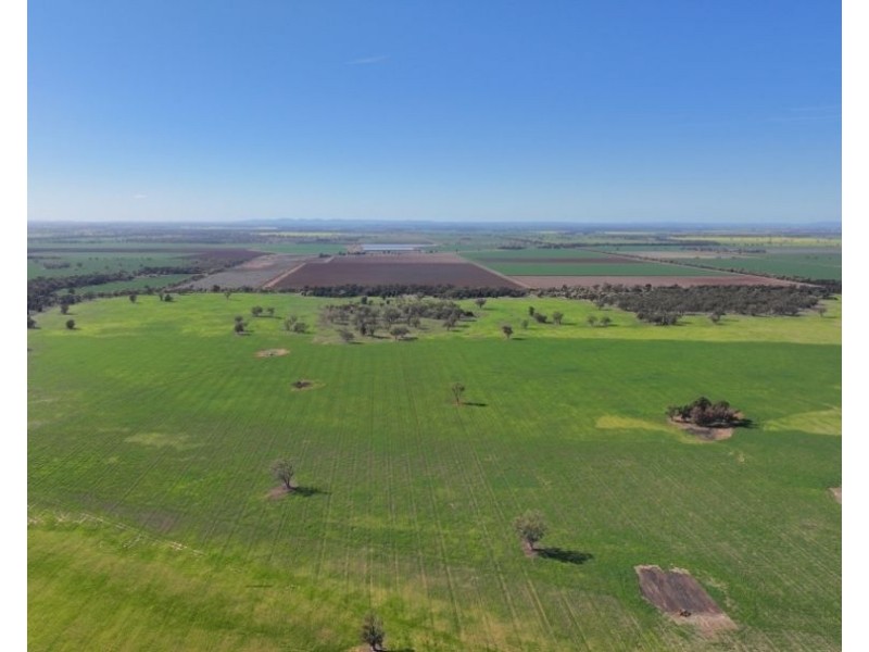 Lynnwood, Narromine NSW 2821