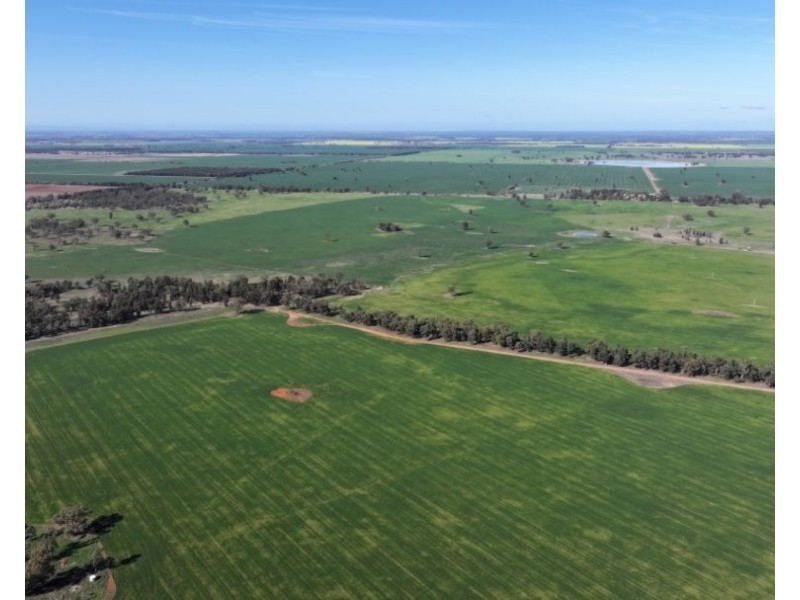 Lynnwood, Narromine NSW 2821