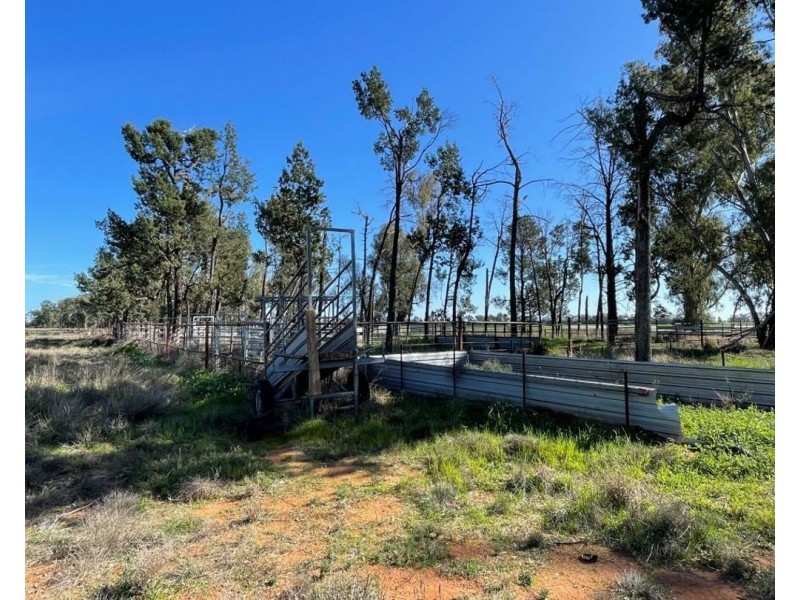 Lynnwood, Narromine NSW 2821