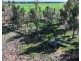 Lynnwood, Narromine NSW 2821
