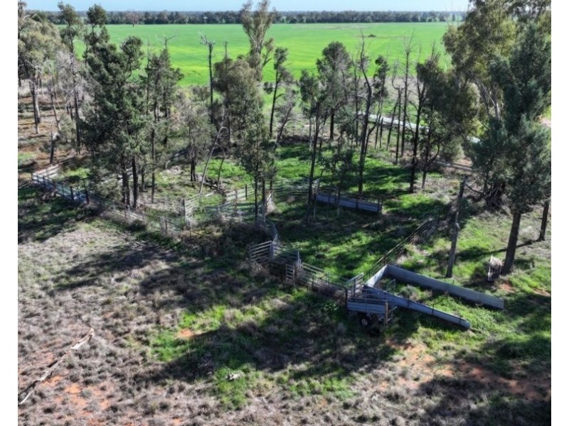 Lynnwood, Narromine NSW 2821