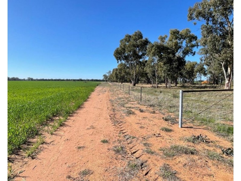 Lynnwood, Narromine NSW 2821