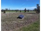 Lynnwood, Narromine NSW 2821