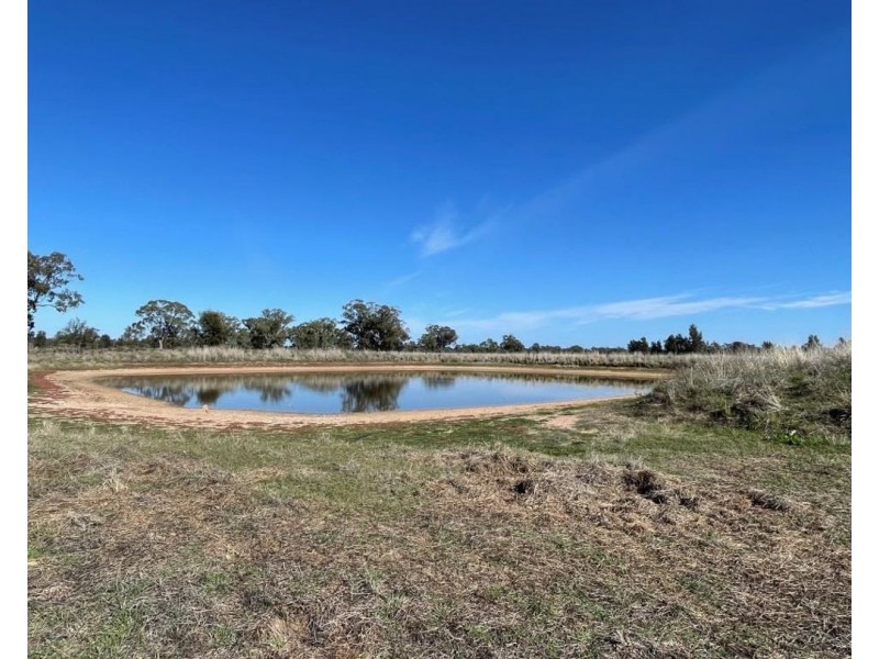 Lynnwood, Narromine NSW 2821
