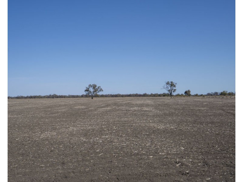 “Duffs Lea”, Rowena NSW 2387